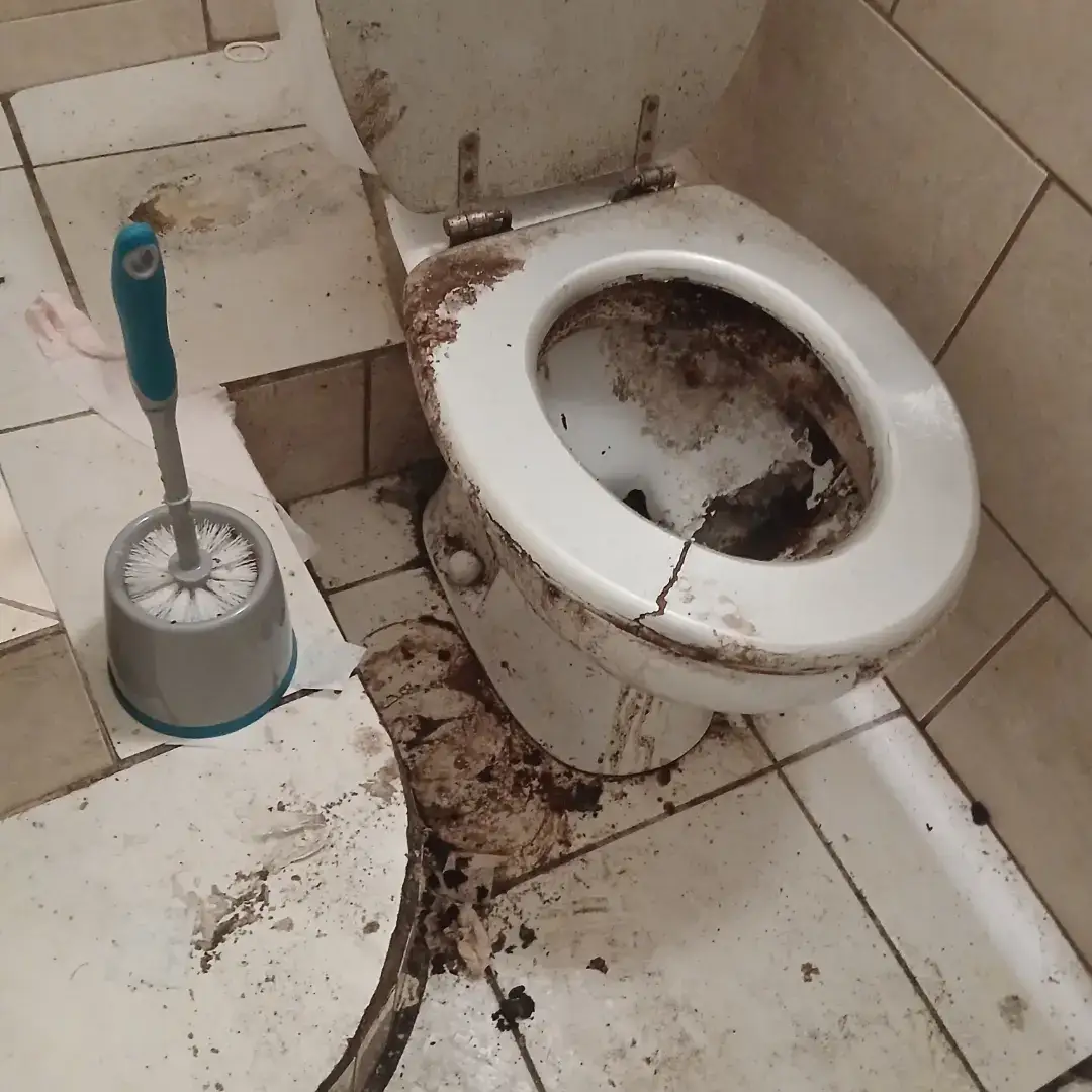 Sanitaires insalubres